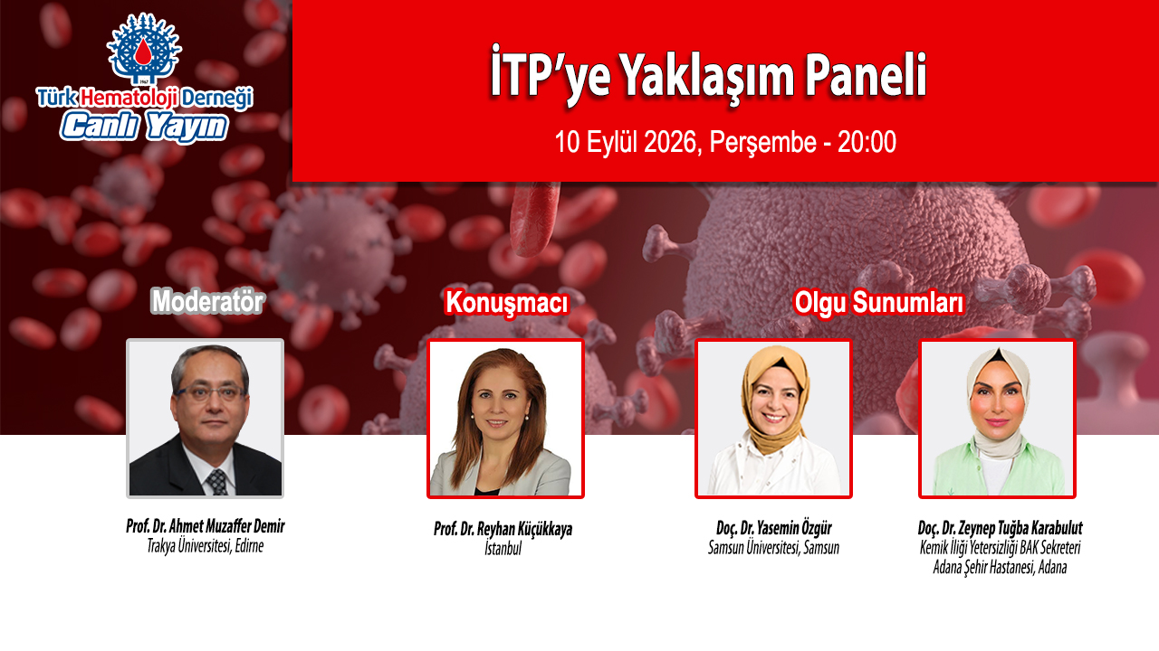 İTP&rsquo;ye Yaklaşım Paneli